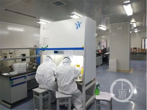 重慶醫(yī)科大學成功研發(fā)新型冠狀病毒免疫檢測試劑盒